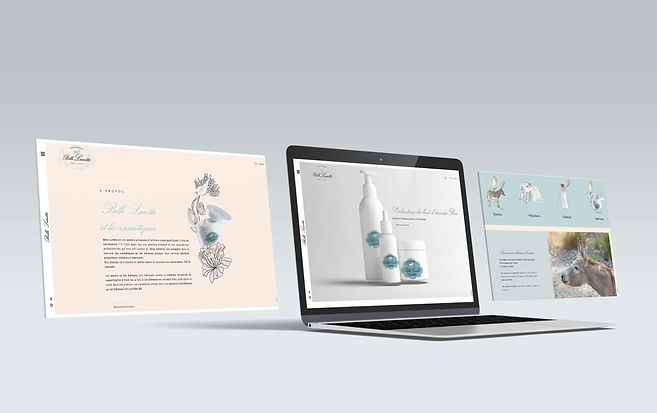 agence-web-toulouse