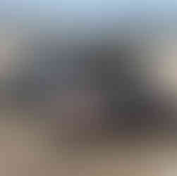 205 GTI Peugeot youngtimer des années 1980