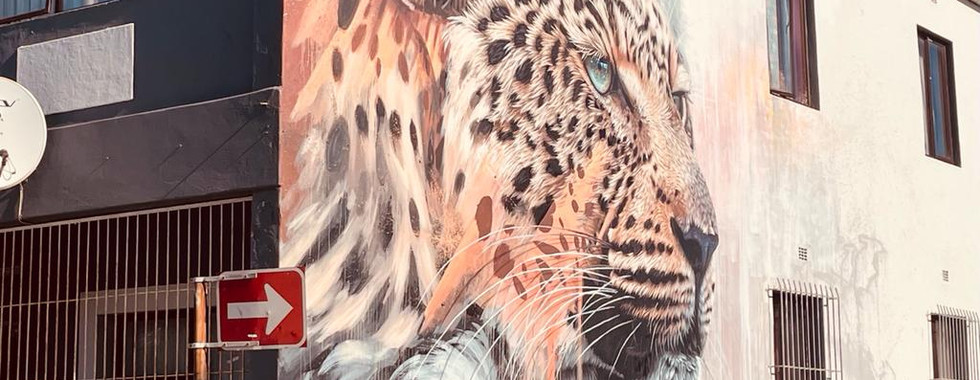 wall mural cape town baz art