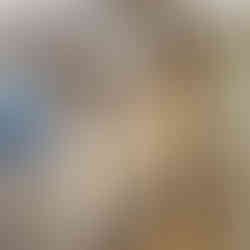 réalisation rénovation de chocolaterie