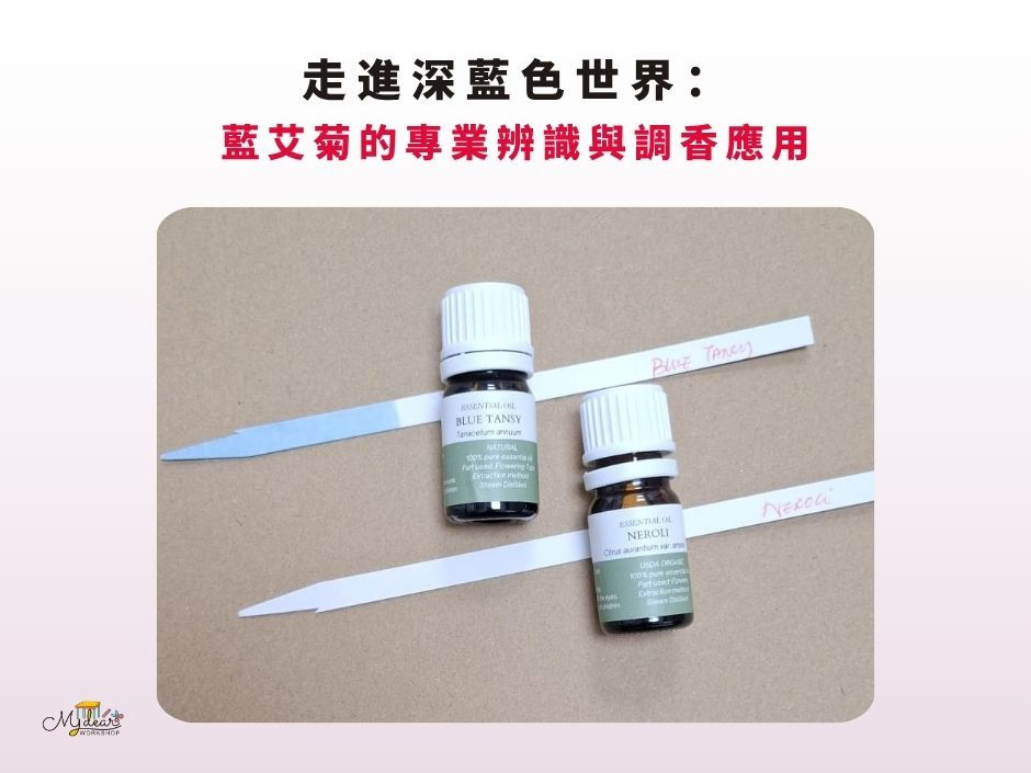 藍艾菊與橙花精油瓶及聞香紙教材圖片。