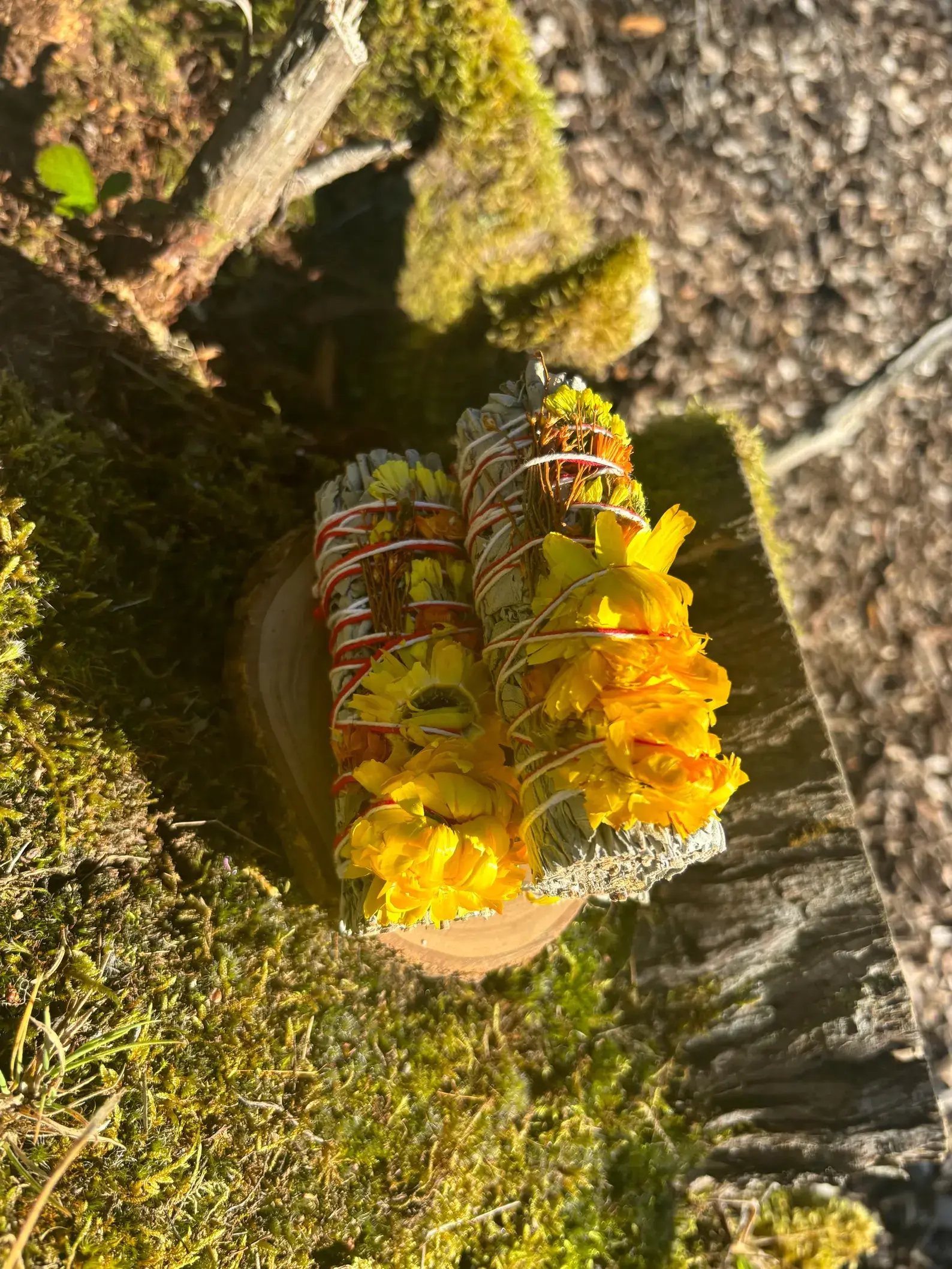 Sunflower White Sage Smudge Stick: Hand-Tied, Organically Grown (4")