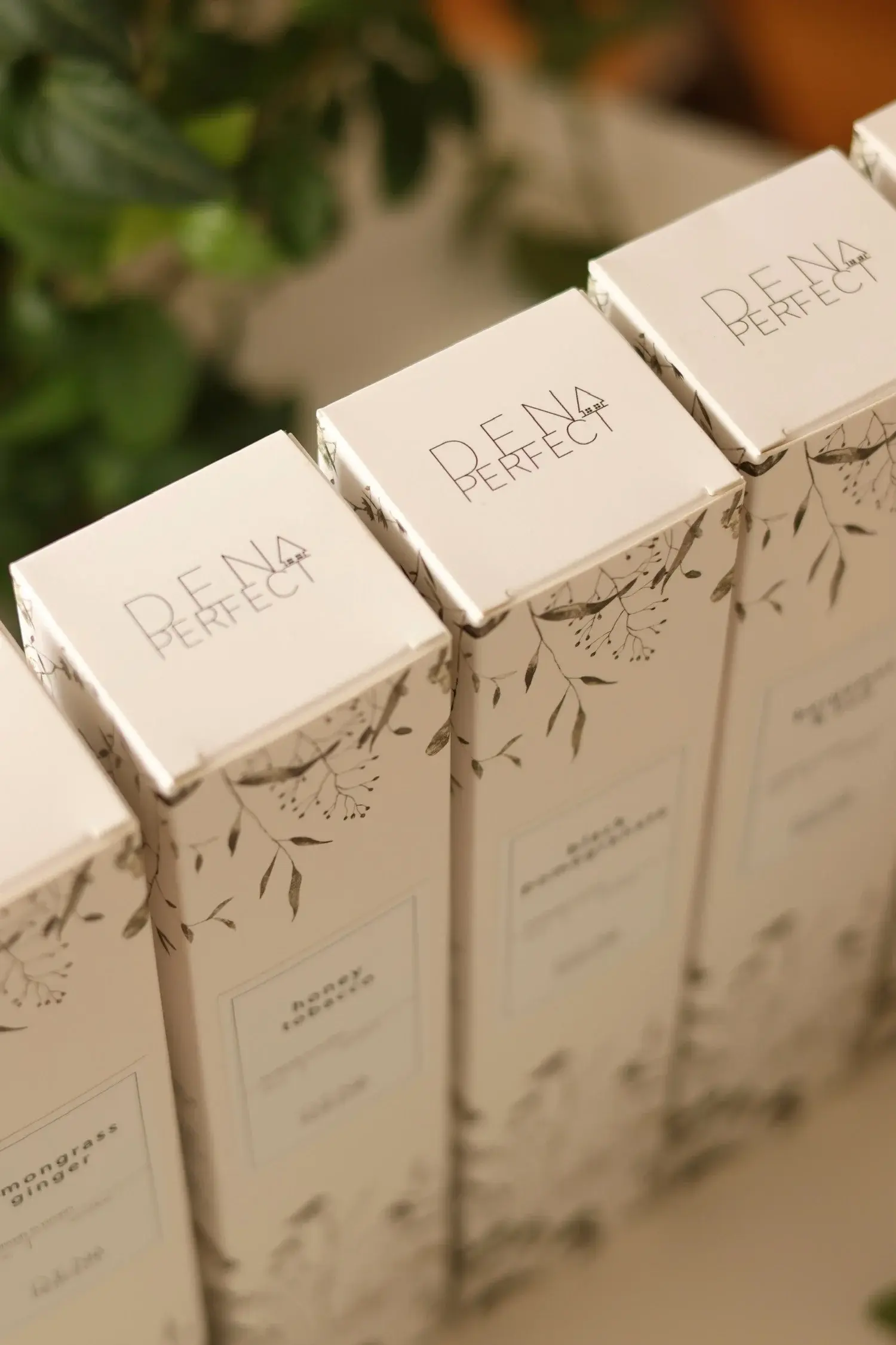 Natural Reed Botanical Diffuser - 100ml