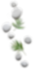 Blank 2000 x 2000 copy.png