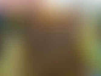 Somers Lions and LEOs Rally for the U.S. Association of Blind Athletes