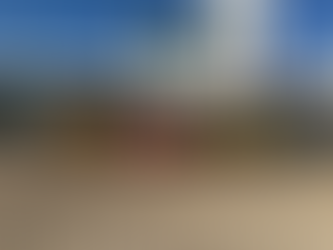 The Big Splash: 2025 Polar Plunge