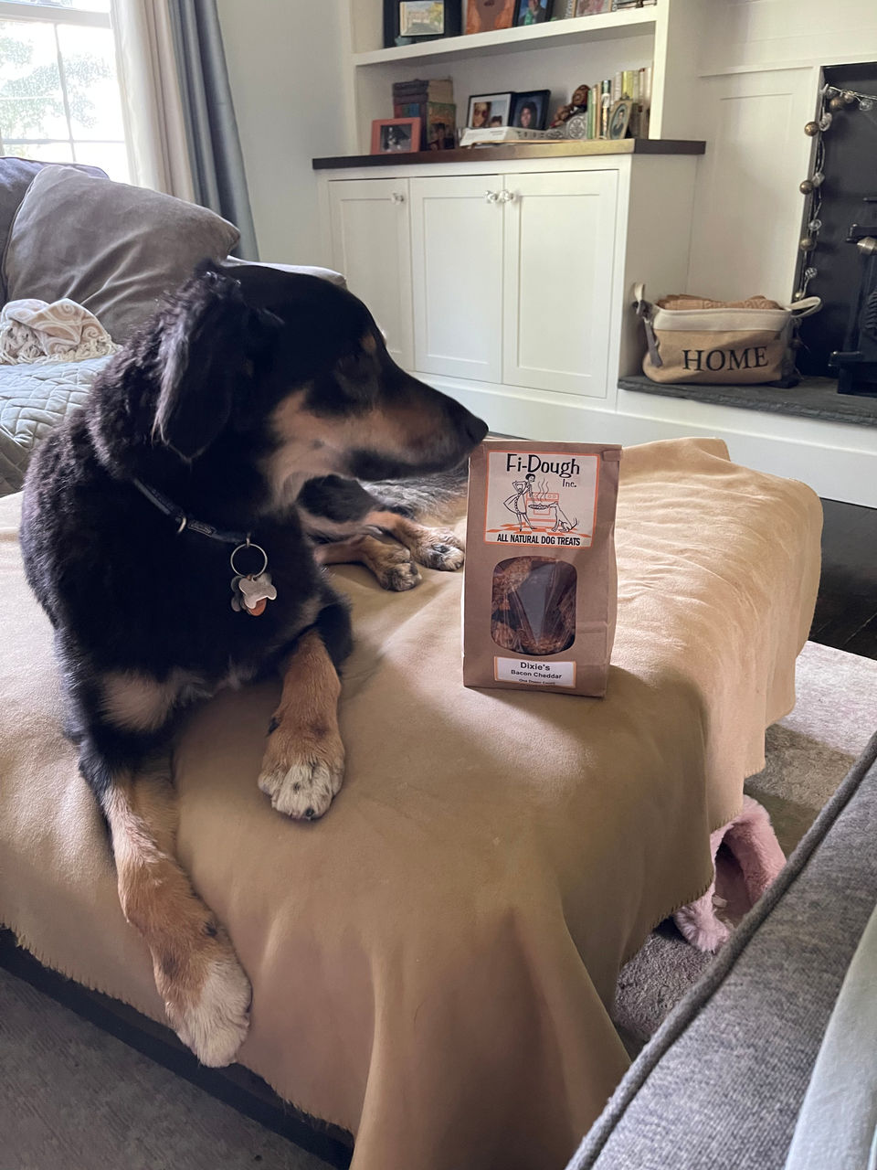 A dog enjoying Fi-Dough's organic biscuits!