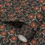 Thumbnail: Hillcrest Red (on black)