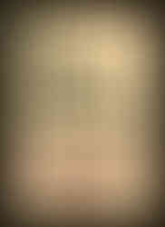 Book cover by S. Neil Fujita