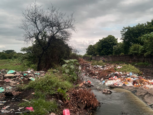 Seeing Beauty & Value in a Trash Dump
