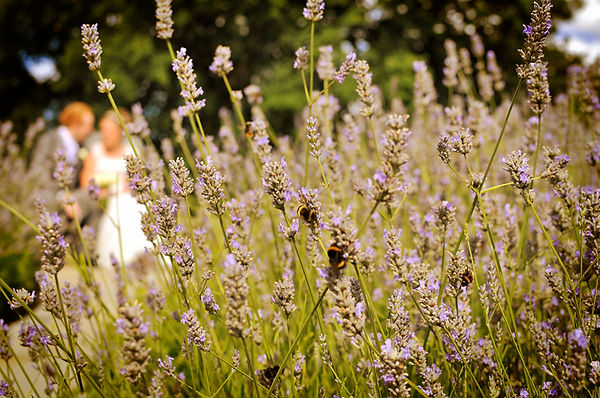 The Mere Wedding Photography, Knutsford