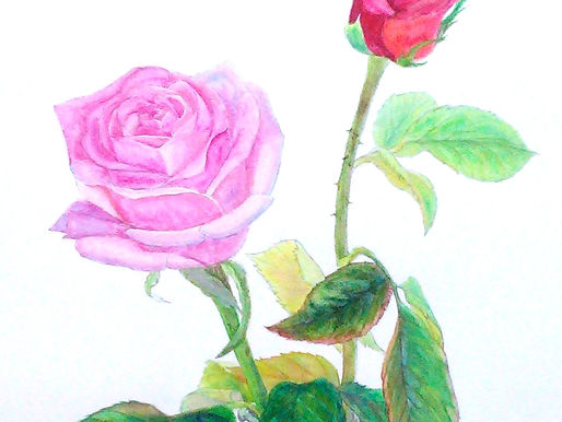 日々の制作について(4)