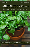 cover (17).png