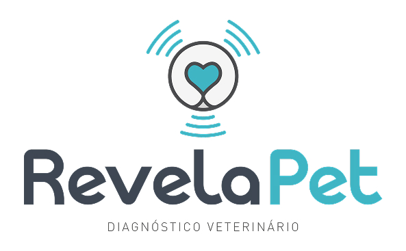 revela-jpeg-para-web.webp