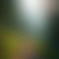 Unlock Your Potential with the 9-Step Resilient Method for Energy and Focus