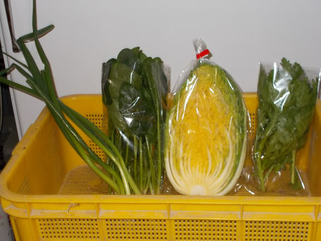 「ホタルの里/くぼの野菜」12/20.本日の出荷品!