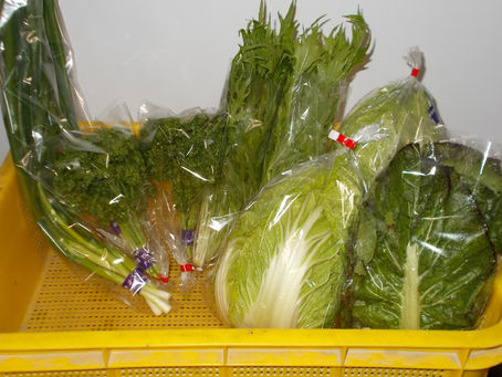 「ホタルの里/くぼの野菜」12/30.本日の出荷野菜!