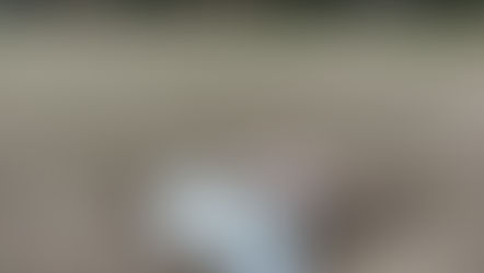 玉ねぎ日記 vol.10 「葉先に届く潤い。じっくり向き合う冬の潅水」