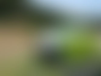 「ホタルの里/窪野野菜」田植えしました！