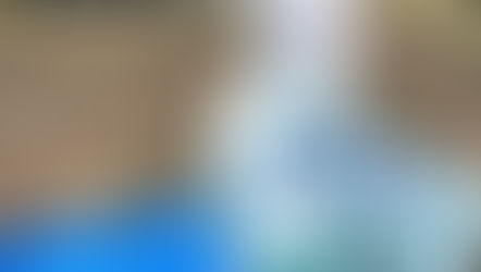 【玉ねぎ日記：vol20】春の成長を支える「土寄せ」と「止め肥え」。七宝早生の仕上げ作業！