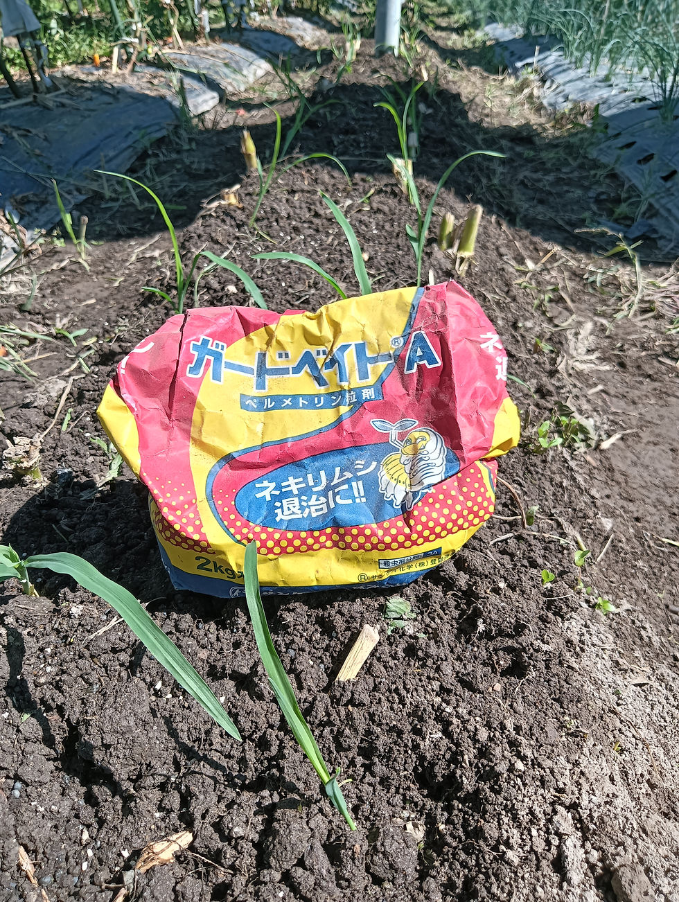 【害虫から守る！「ガードベイト」でネキリムシ対策】 定植が終わった直後、株元にひとつまみ撒くのが「ガードベイト」です。 柔らかい新芽や茎を根元から切ってしまう「ネキリムシ（ヤガ類の幼虫）」などの被害を防ぐための大切な守り。丹精込めて育てた苗をしっかり守り抜きます！