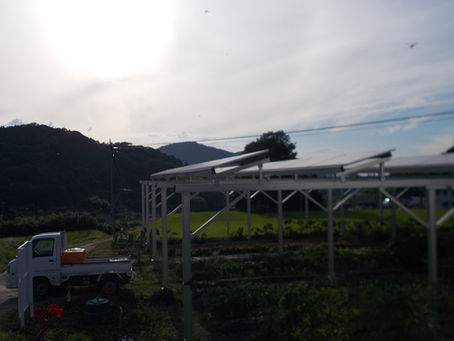 「エコで儲かる農業」第3報!