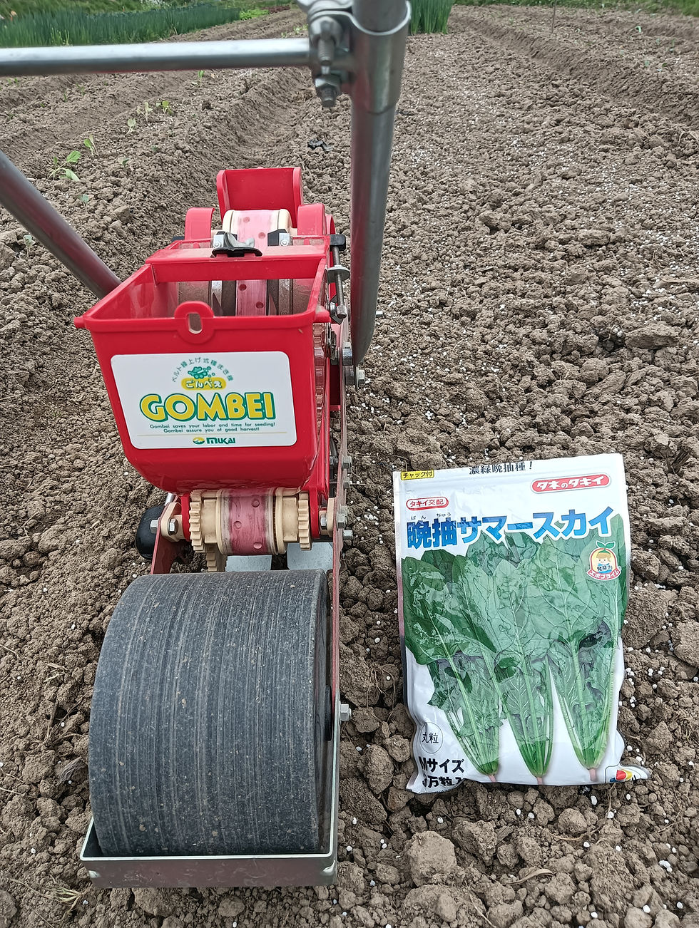 いよくぼ旬だより:vol.8|窪野に新たな緑を。播種機「ごんべい」でほうれん草の種まき!
