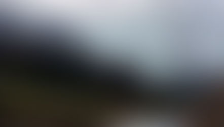 「いよくぼ旬だより」 vol.4： 「畑に彩りを。播種から始まる冬の保温対策」