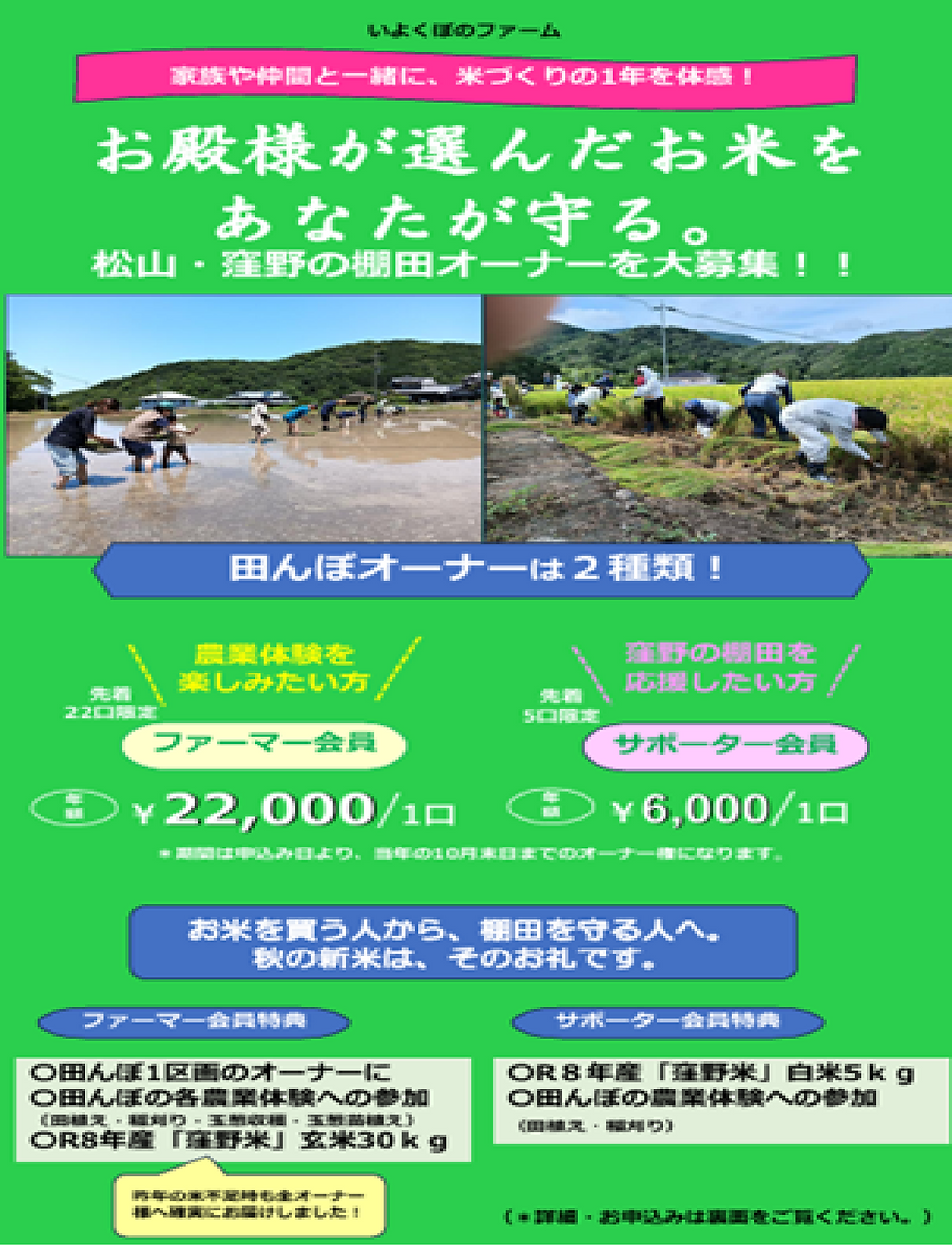 今年もいよいよ始まる農業体験を前に、多くの方から「オーナーになると何ができるの？」とお問い合わせをいただきます。いよくぼのファームの棚田オーナー（ファーマー会員）は、ただお米を受け取るだけでなく、年間を通じて特別な体験ができる仕組みになっています。