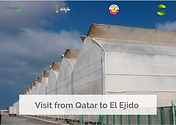 visit_qatar_portada.png