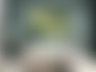 Why Cleaning Your Walls Matters More Than You Think