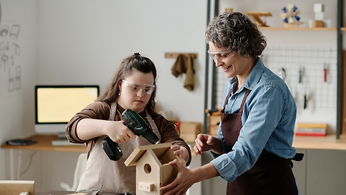 carpenters creating bird boxes