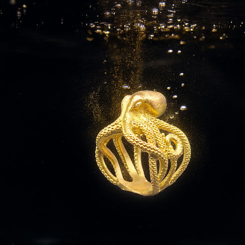 octo.jpg