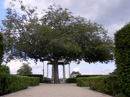 Froyle Park - Recommended suppliers