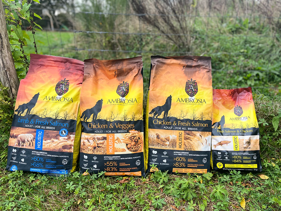 Miniature : Ambrosia mini 6Kg - Croquettes sans céréales saumon frais poulet made in France