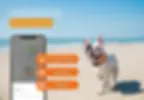 Miniature : Traceur GPS Weenect XS noir ou blanc