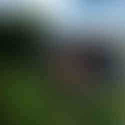 La Lisière SwissguethouseSitters