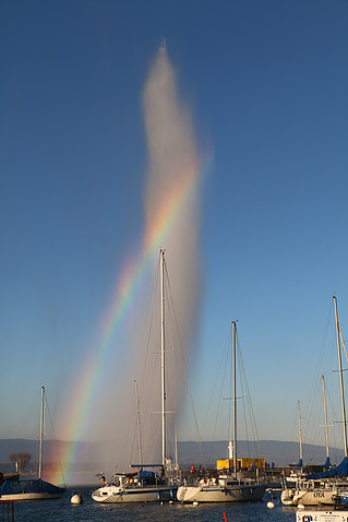 c11