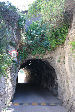 k11