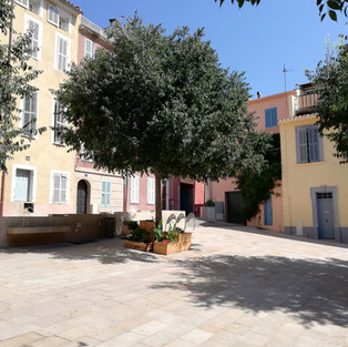swissguesthousesitters couettedazur remplacementmaisondhotes hyeres