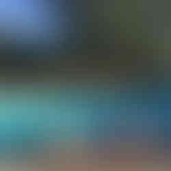 Vous aimerez le jardin et la piscine en été, le spa en demi-saison et les promenades à vélos sur les bords de la Sèvre Nantaise pour rejoindre Nantes. Un lieu ou il fait Bon vivre à la campagne, tout en étant aux portes d’une grande Métropole.