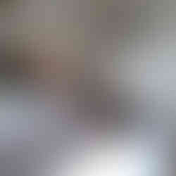 swissguesthousesitters letempsdeshotes maisondhotes remplacementmaisondhotes vertou nantes