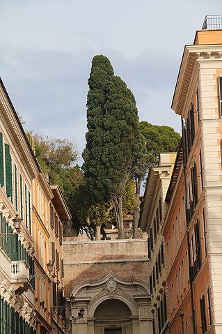 a51