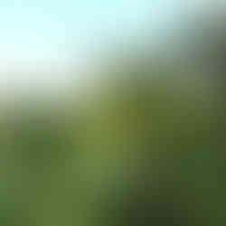 Vous aimerez le jardin et la piscine en été, le spa en demi-saison et les promenades à vélos sur les bords de la Sèvre Nantaise pour rejoindre Nantes. Un lieu ou il fait Bon vivre à la campagne, tout en étant aux portes d’une grande Métropole.