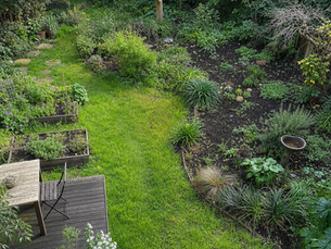 Winter Garden Maintenance Sydney: Inner West Guide