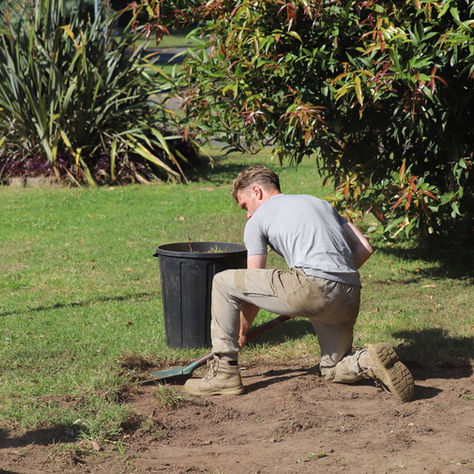 How to Stop Weeds From Coming Back (Without Chemicals)