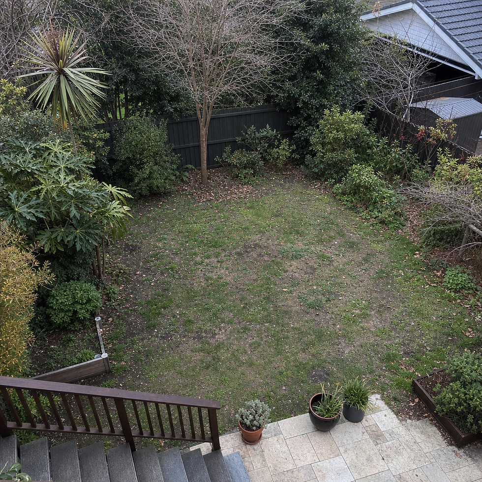 Patchy winter lawn with weeds and thin grass growth in a Sydney garden