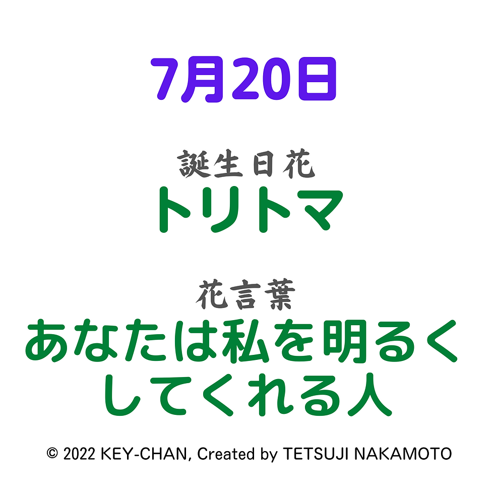 サムネイル： トリトマは、7月20日の誕生日花です。お誕生日プレゼントにどうぞ！