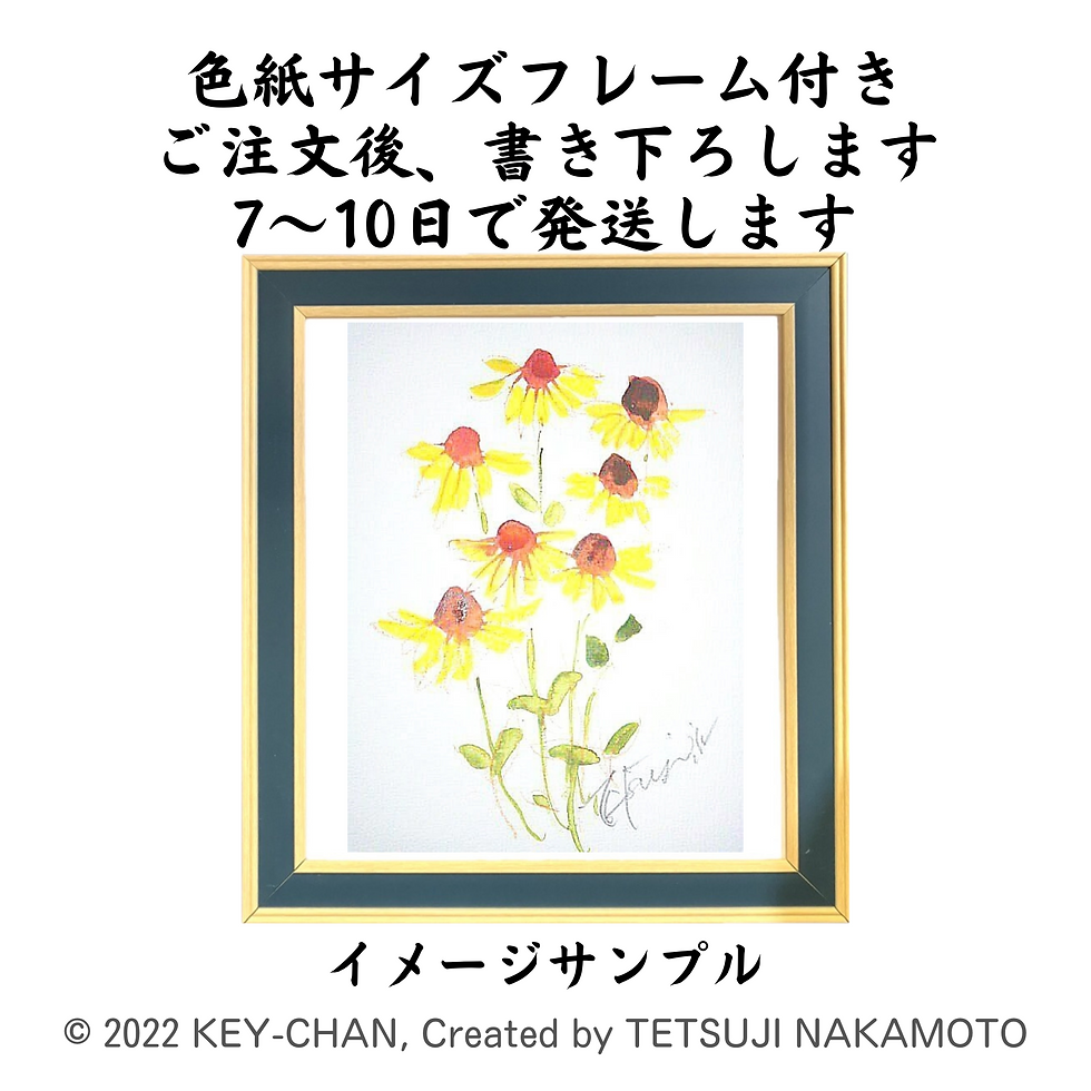 サムネイル： きょうの水彩画「ルドベキア」BF0924