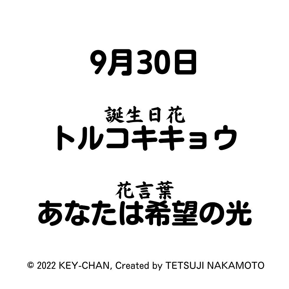 サムネイル： ＊きょうのお花「トルコキキョウ」(色紙)作品番号BF0930